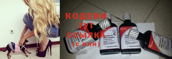 гашик Рославль