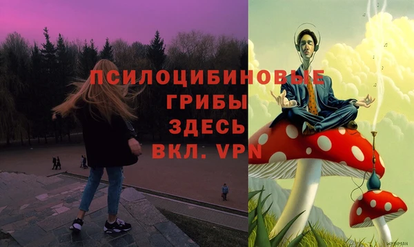 спиды Алексеевка