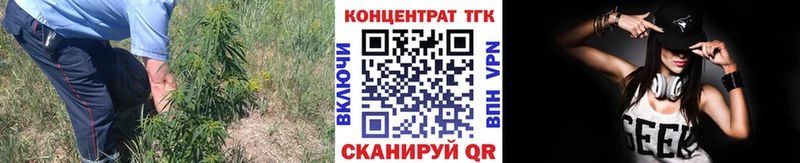 где найти наркотики KRAKEN ТОР Дистиллят ТГК гашишное масло Ишим