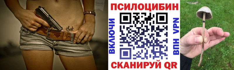 даркнет сайт  Ишим  omg вход  Псилоцибиновые грибы Magic Shrooms 